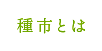 種市とは