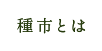 種市とは