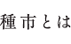 種市とは