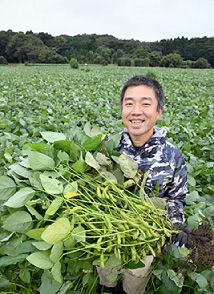 宮本農業│宮本雅之