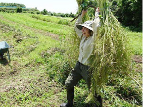 かえる山田裕美子